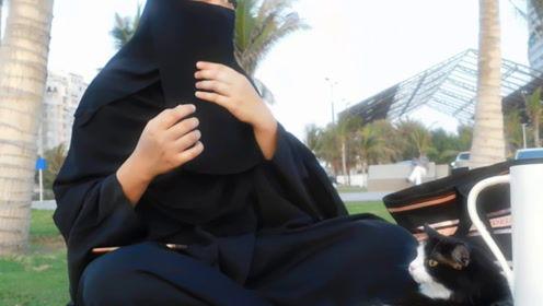 娱乐吃瓜君发生了什么,近期娱乐圈大事件幕后真相